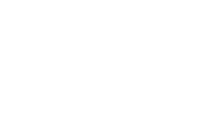Media Scale
