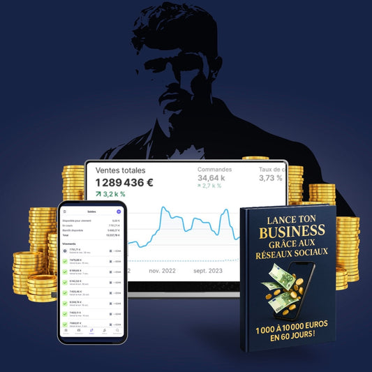 Media Scale - Lance ton business grâce aux réseaux sociaux  1 000 À 10 000 EUROS EN 60 JOURS !